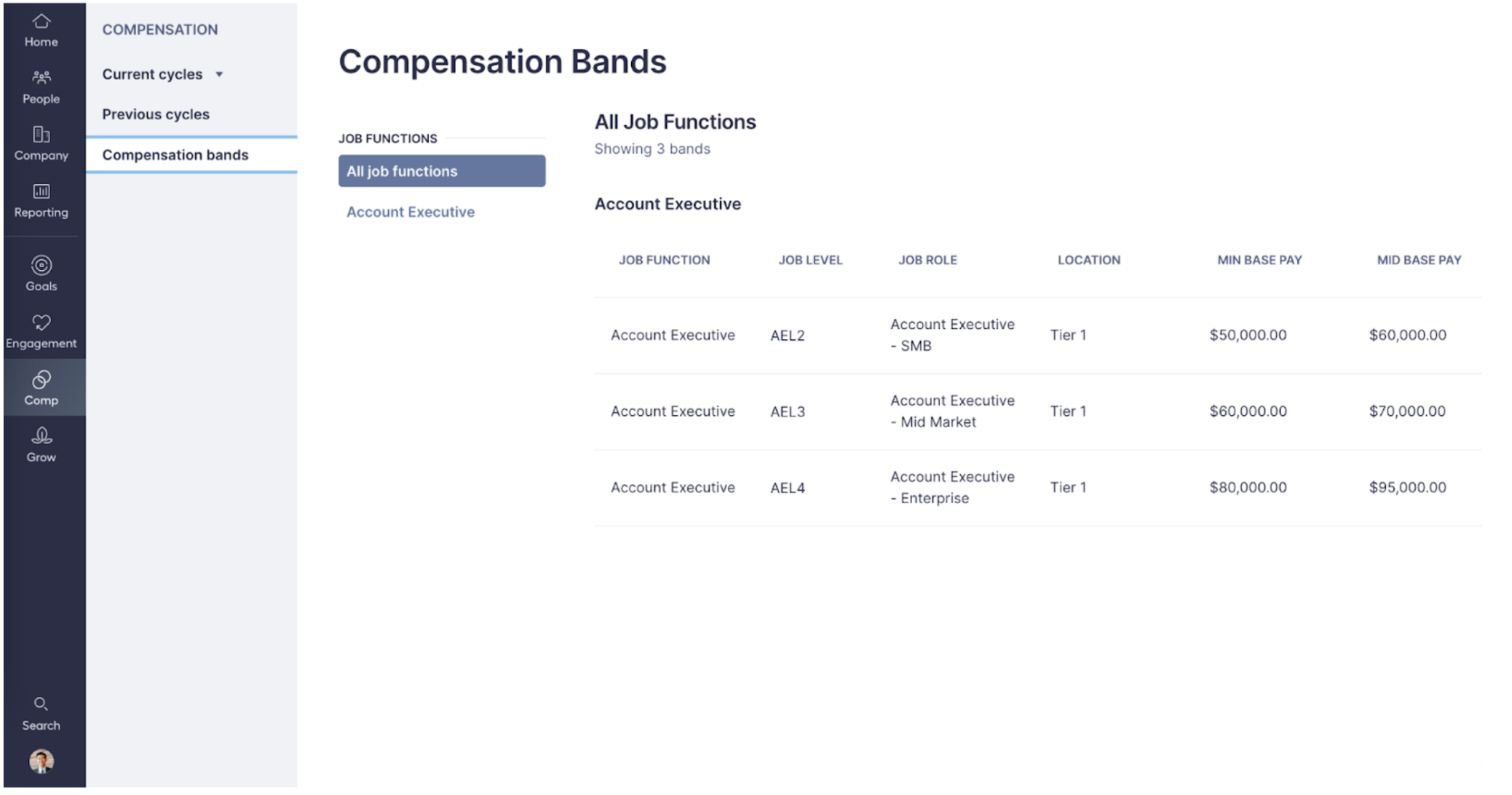 Image of Compensation Bands section within the Compensation Hub